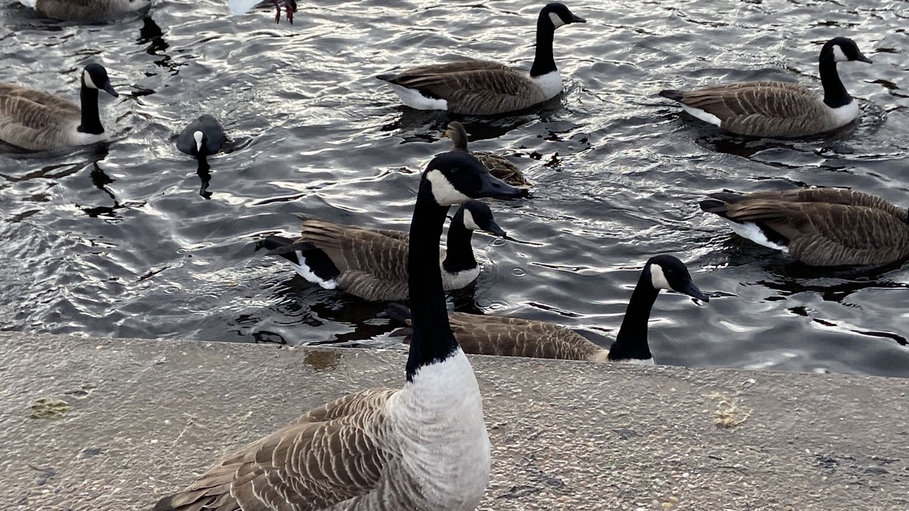 Photo of Others in Sutton Coldfield