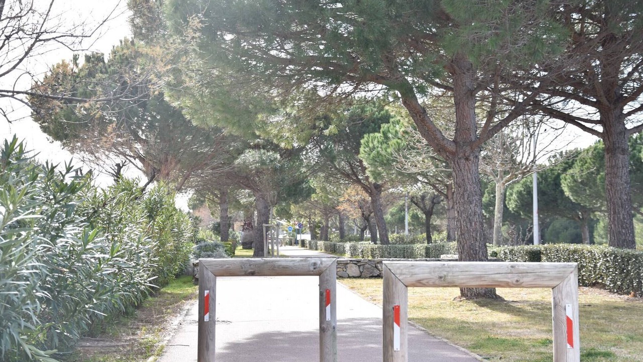 Photo of Outdoor in Les Ayguades