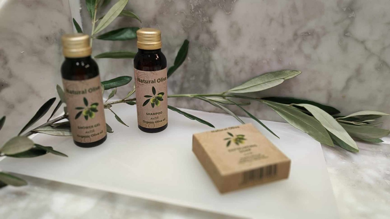 Photo of Bathroom in Rocbaron