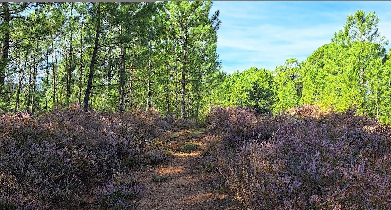 Photo of Outdoor in Les Salelles