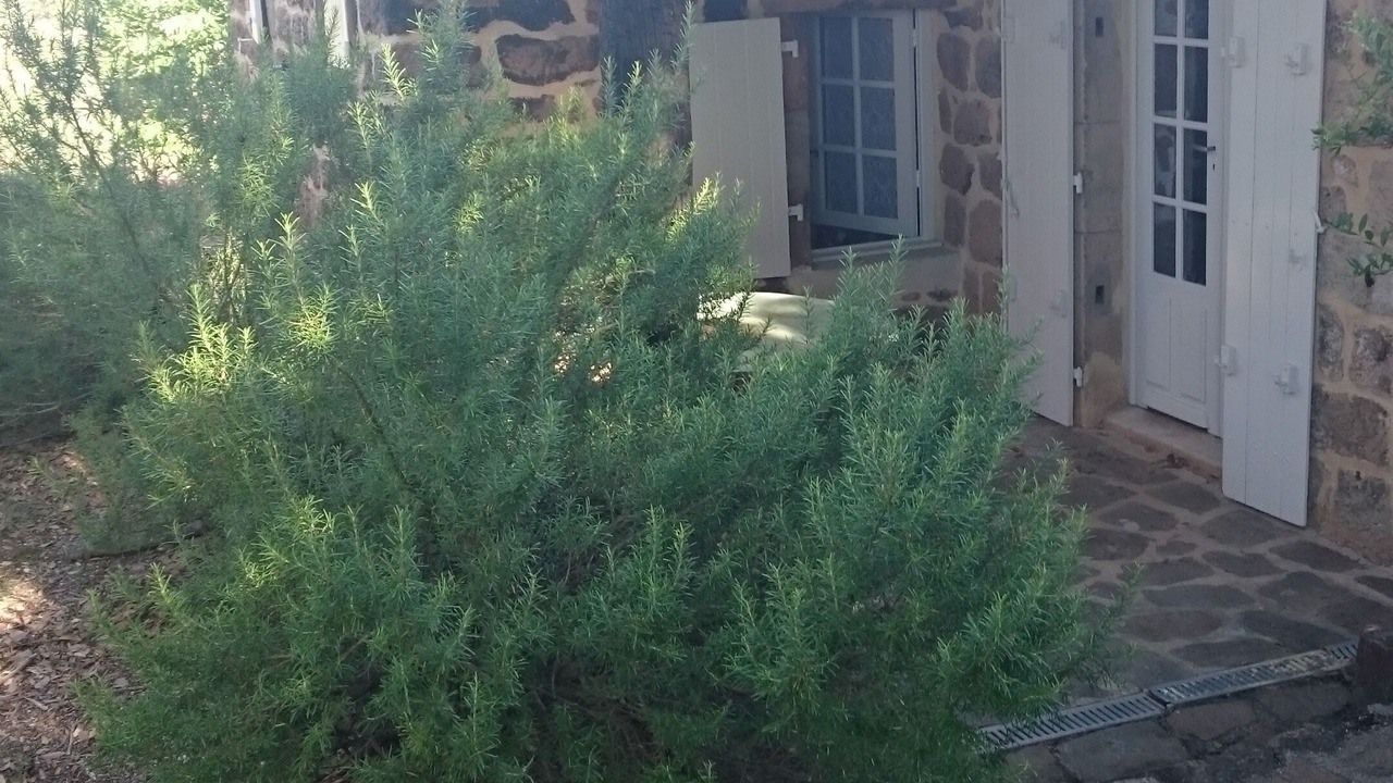 Photo of Outdoor in Les Salelles