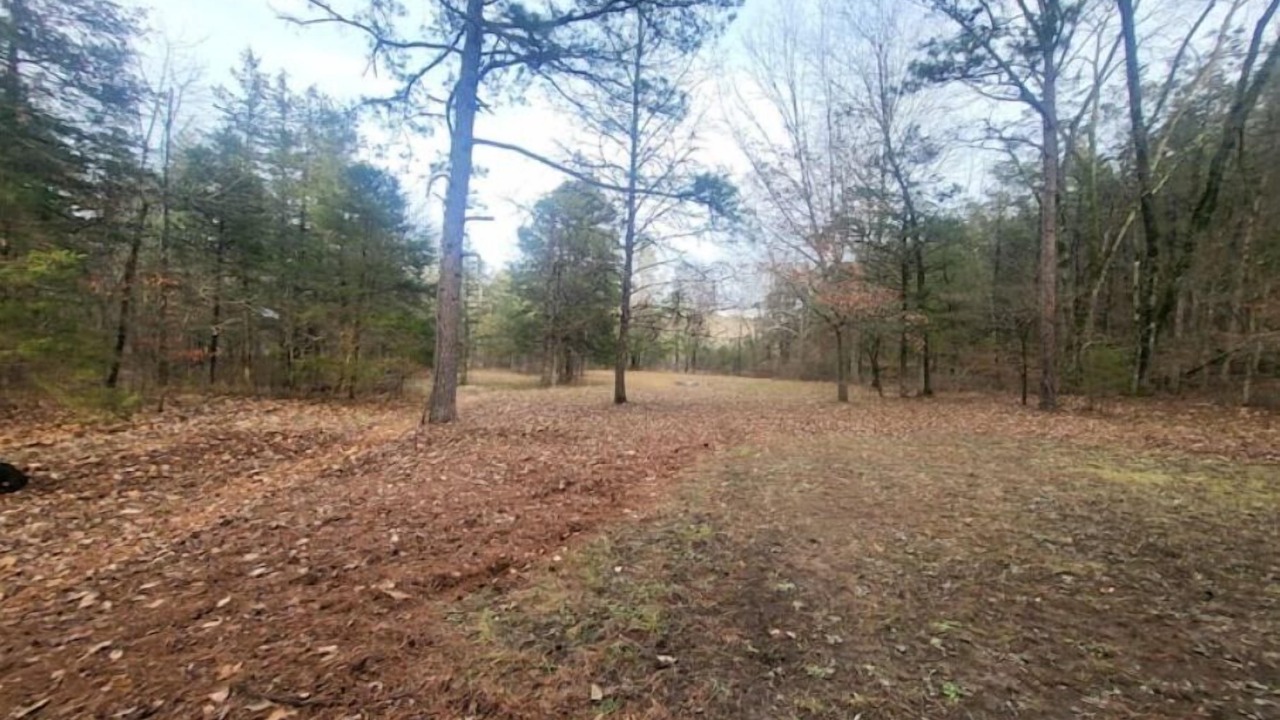 Photo of Outdoor in Boswell