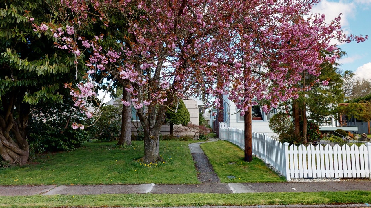 Photo of Outdoor in Snohomish
