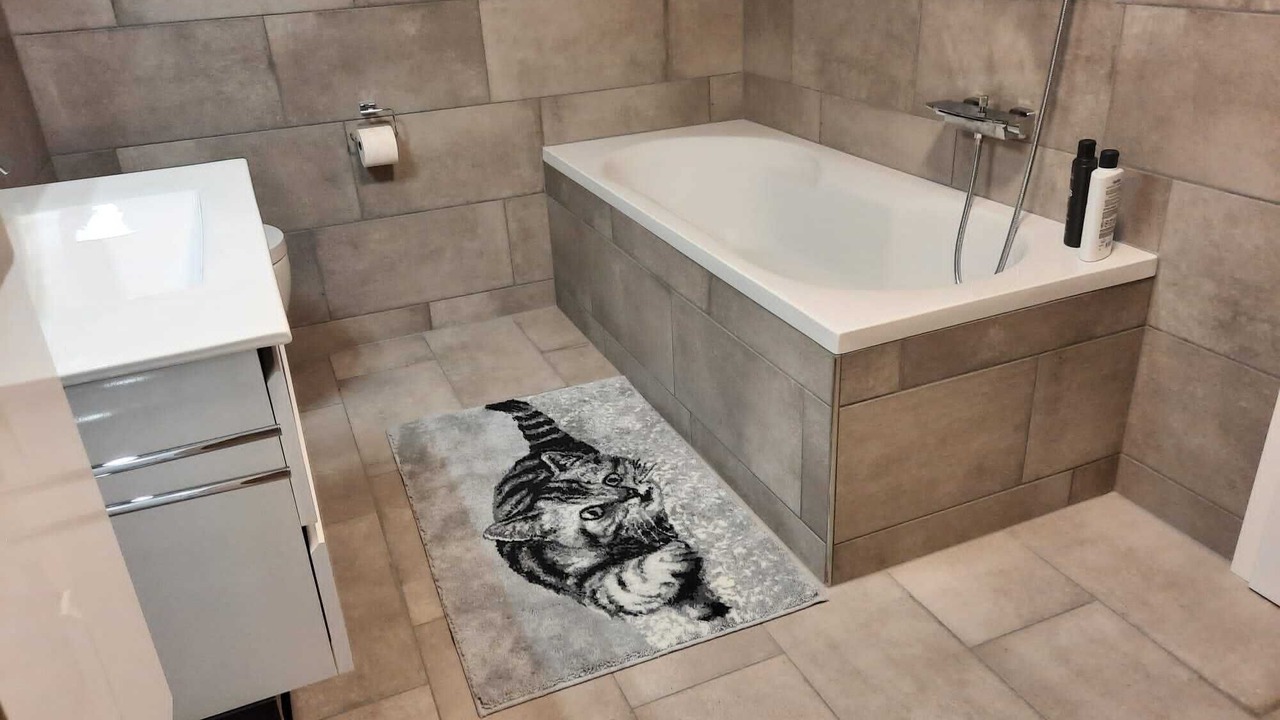 Photo of Bathroom in Andelfingen District