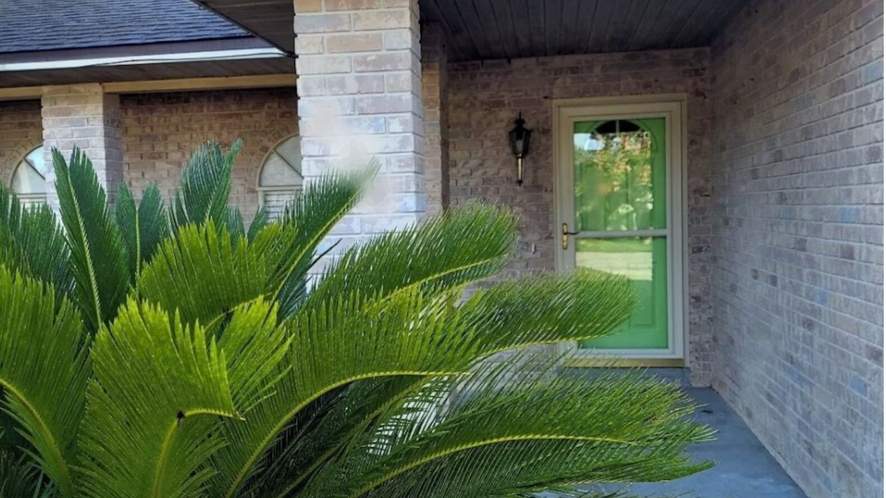 Photo of Outdoor in Orange City
