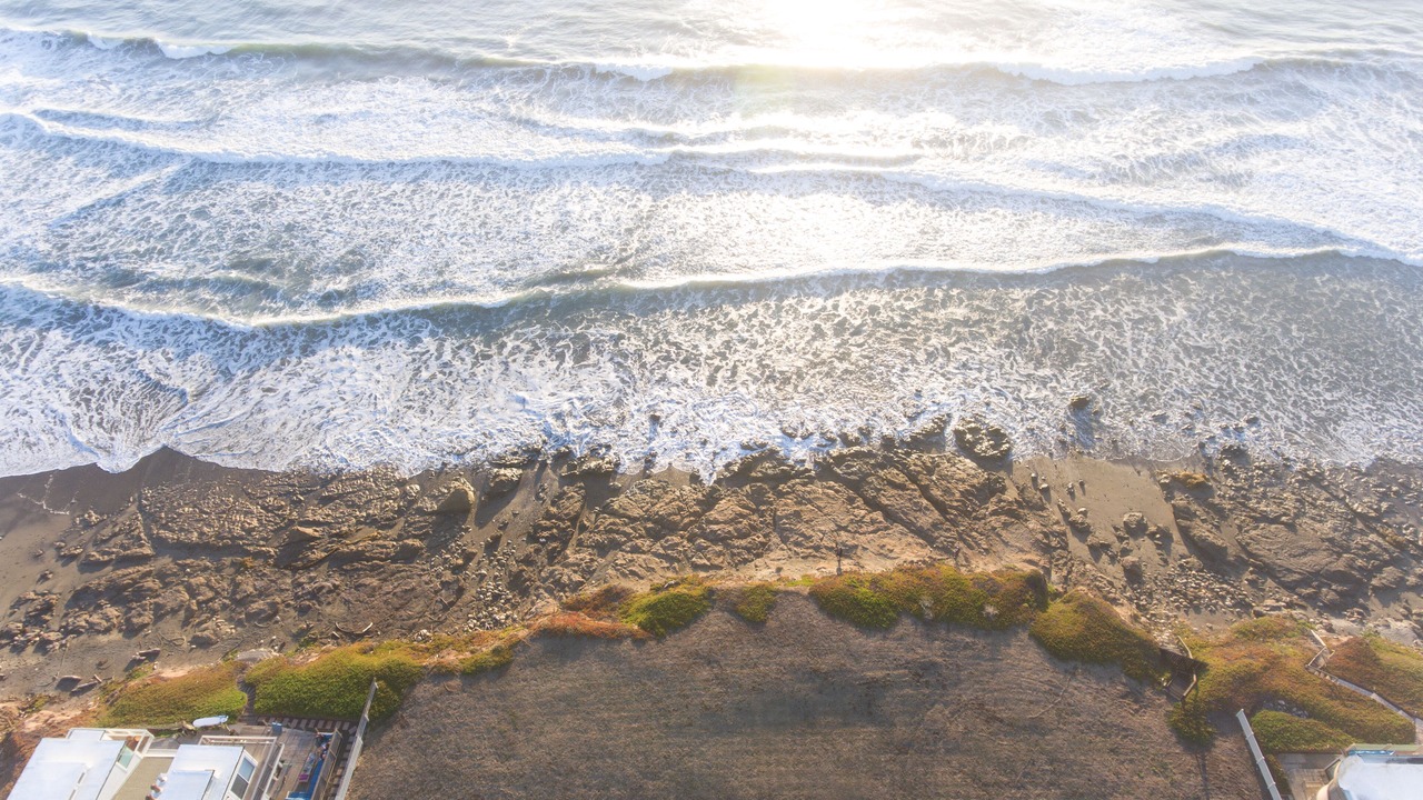 Photo of Others in San Simeon