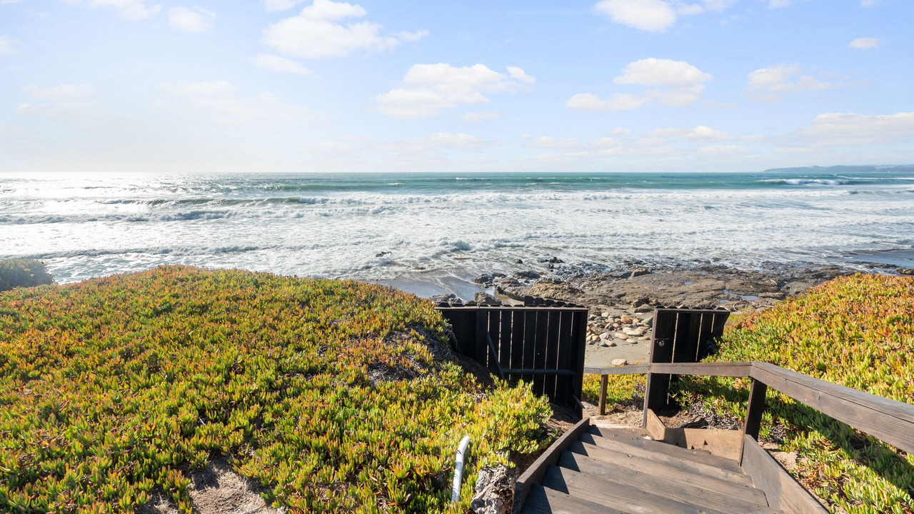 Photo of Others in San Simeon