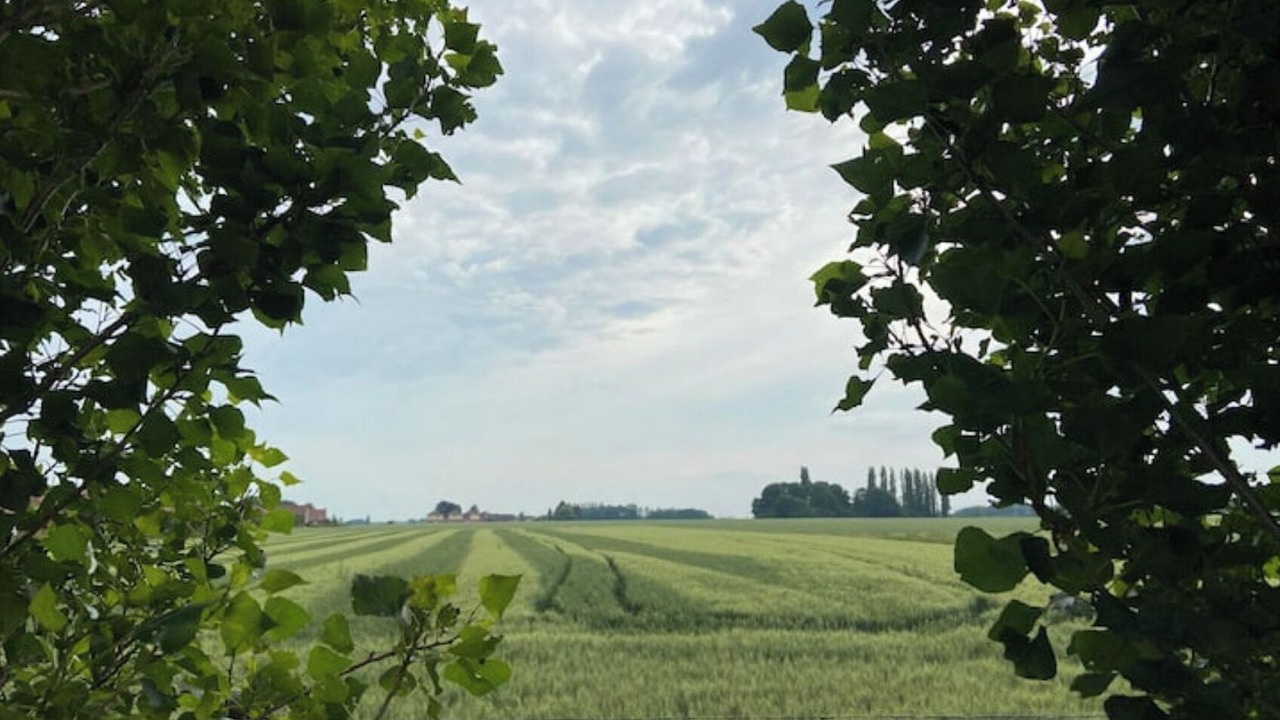 Photo of Others in Lys-lez-Lannoy