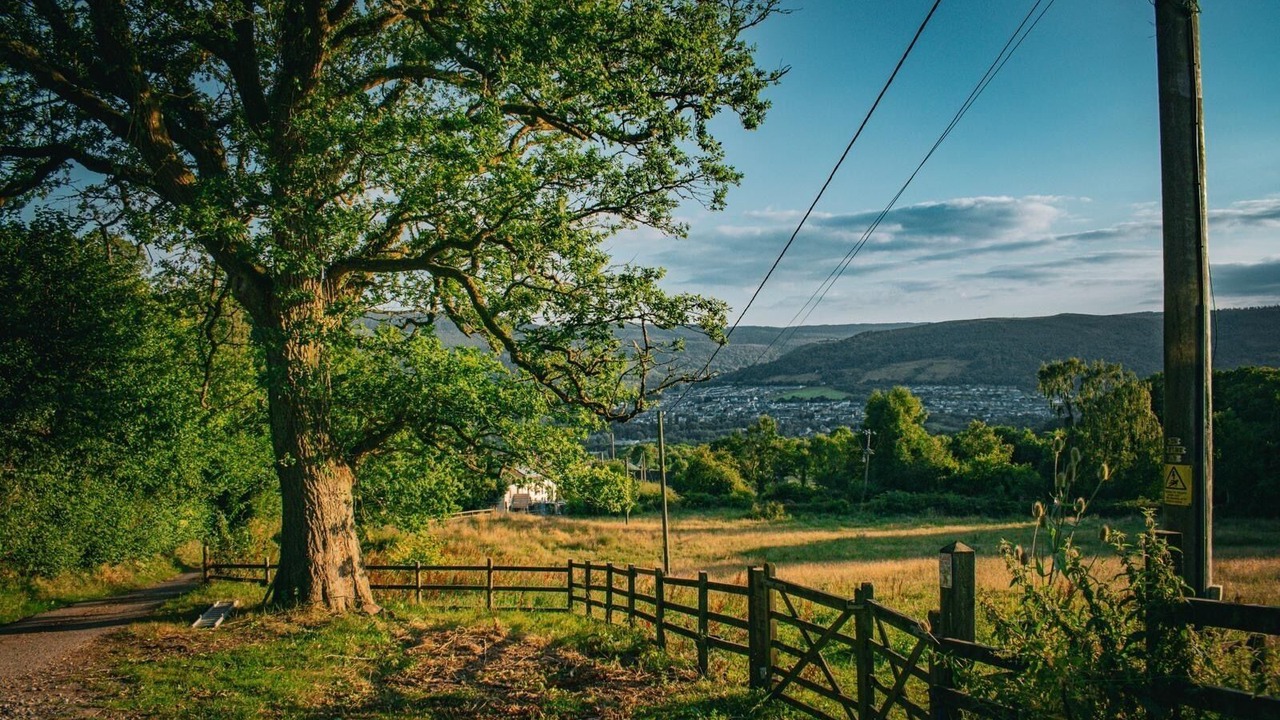 Photo of Others in Cwmbach