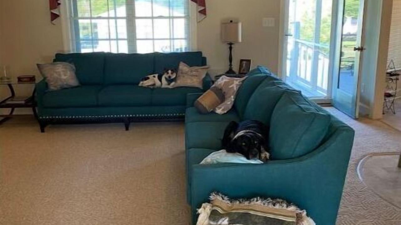 Photo of Livingroom in Marshallberg