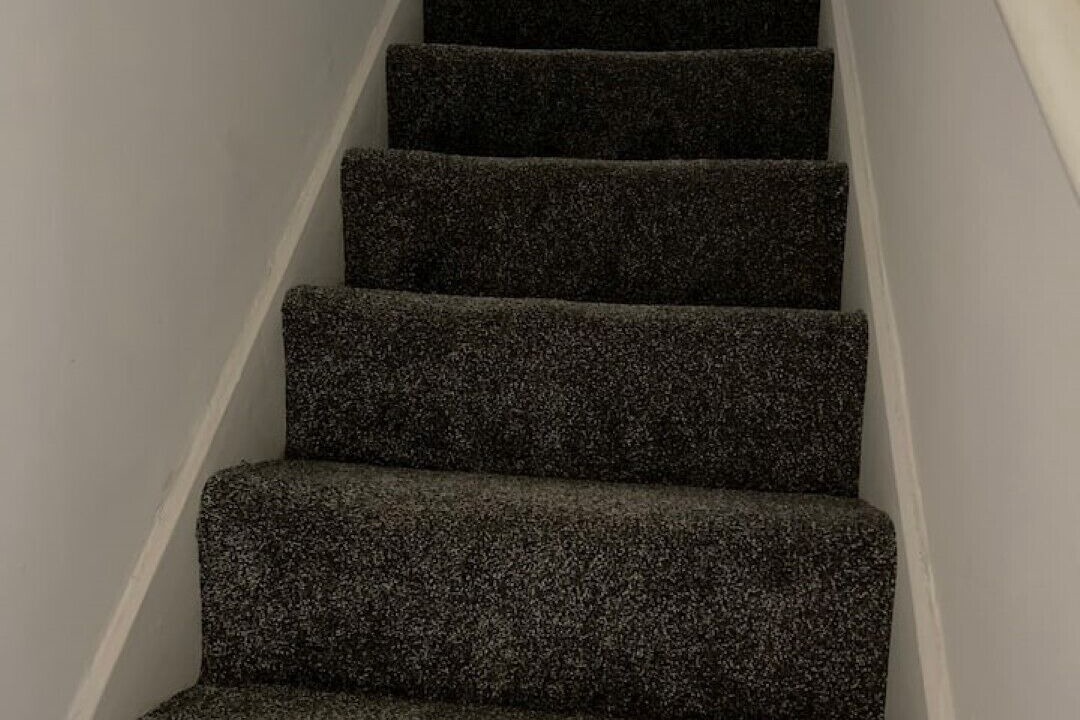 Photo of Others in Belle Vue