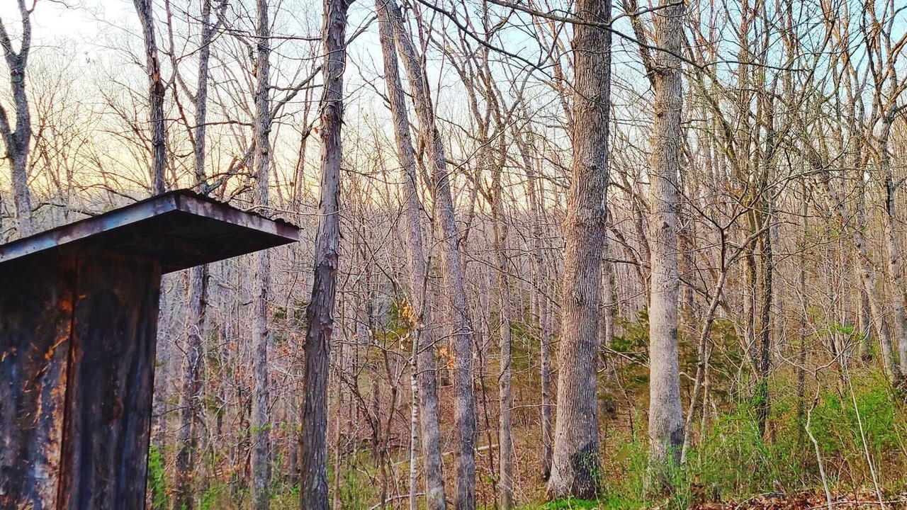 Photo of Others in Hartsburg
