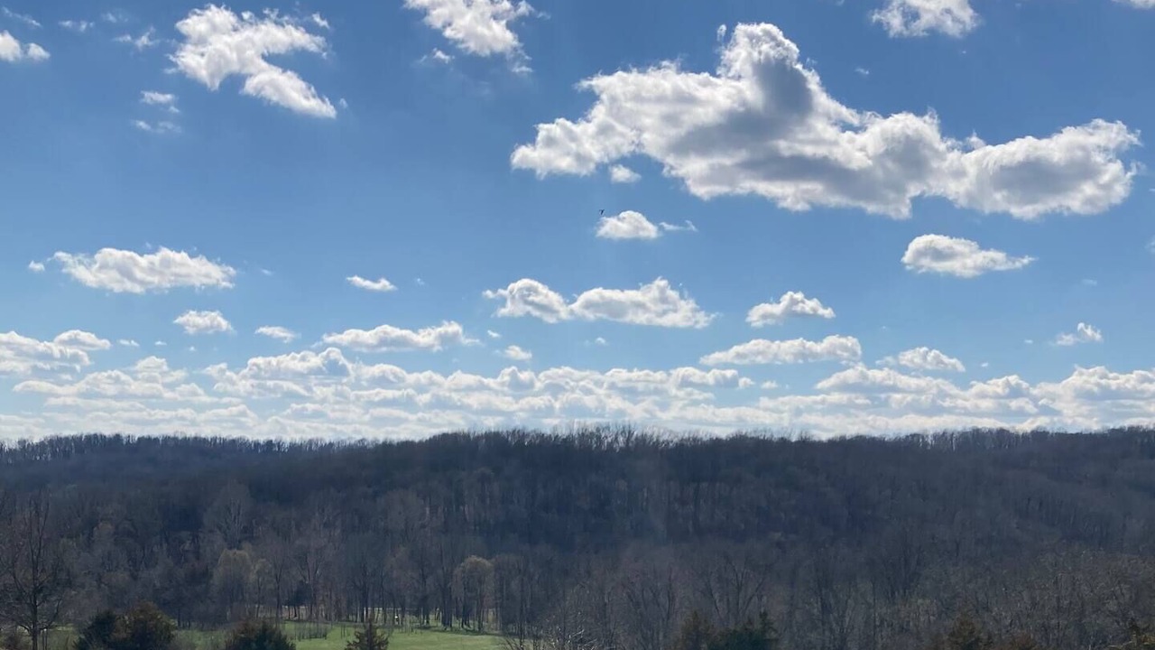 Photo of Others in Hartsburg