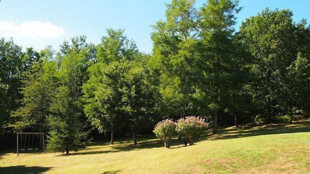 Photo of Outdoor in Saint-Chamassy