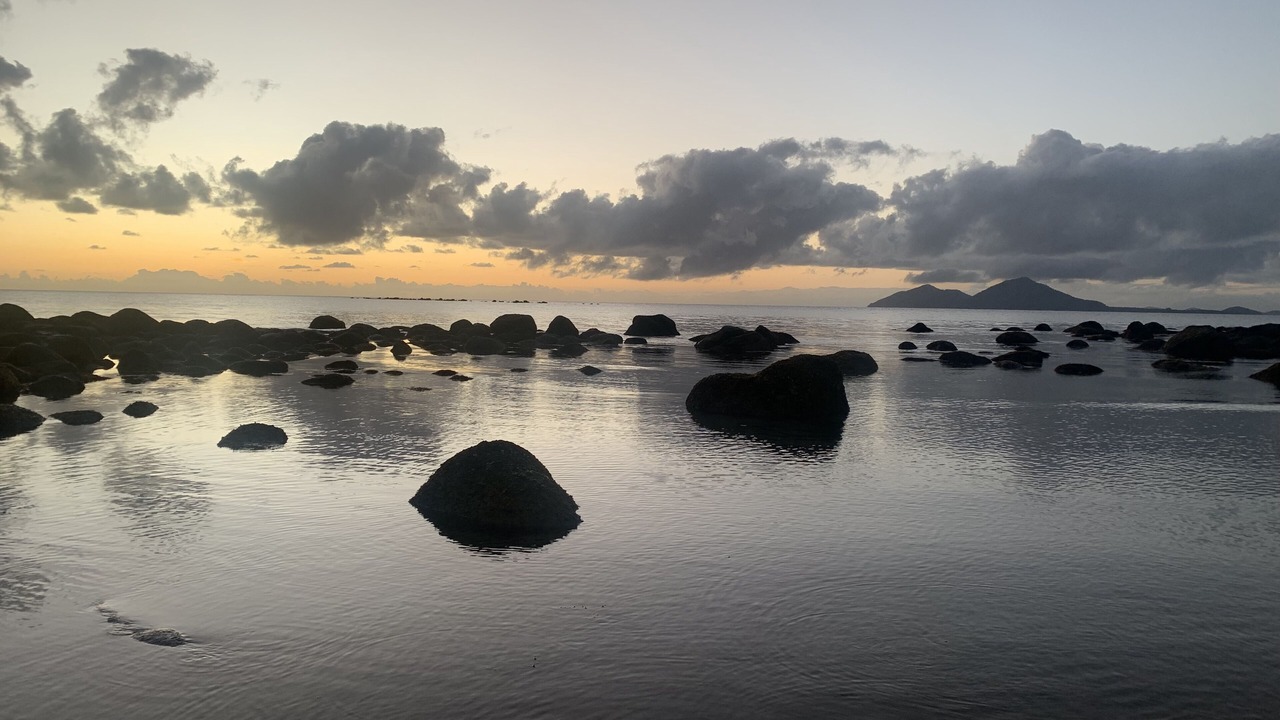 Photo of Others in Mission Beach