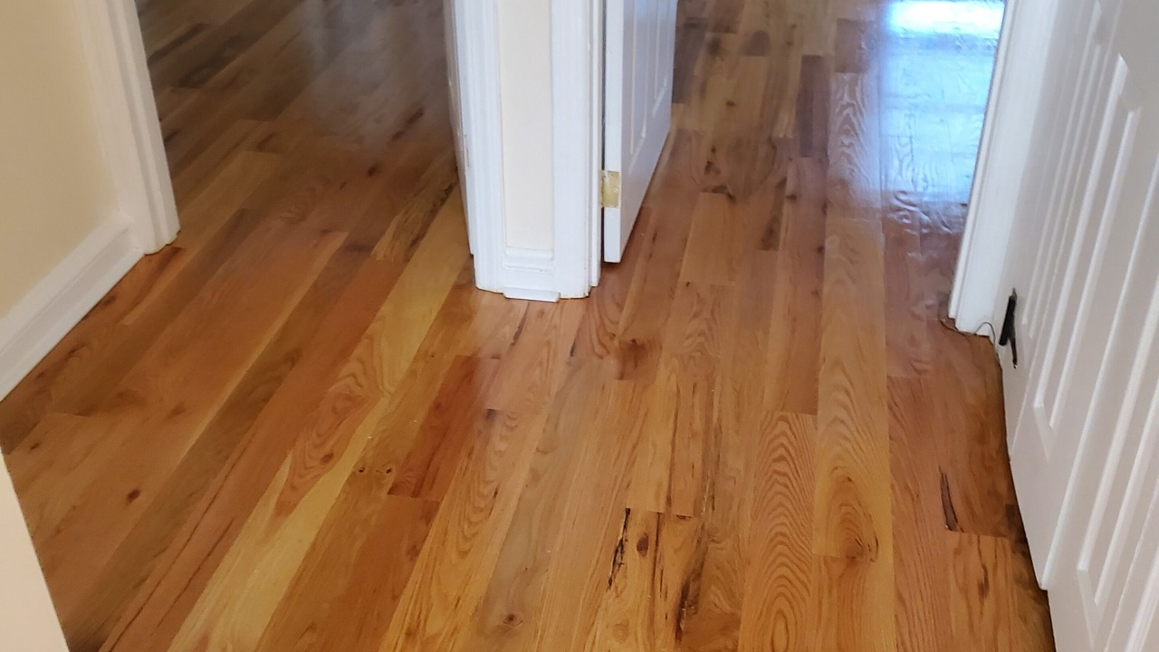 Photo of Others in North Philadelphia