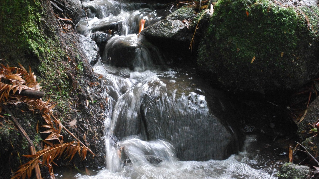 Photo of Others in Olinda