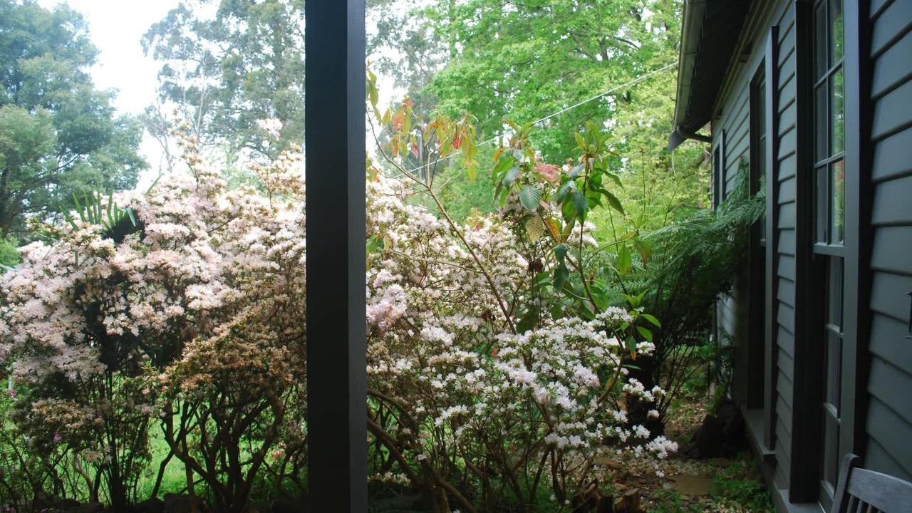 Photo of Outdoor in Olinda