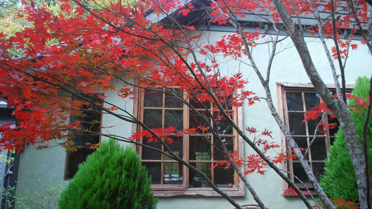 Photo of Outdoor in Olinda