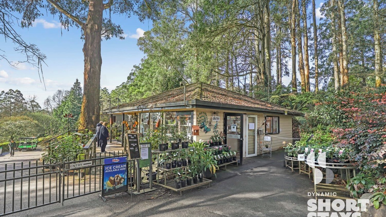 Photo of Others in Olinda