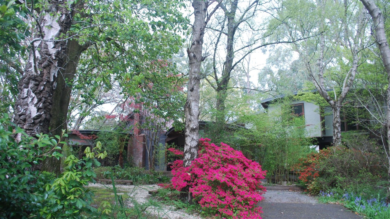 Photo of Outdoor in Olinda