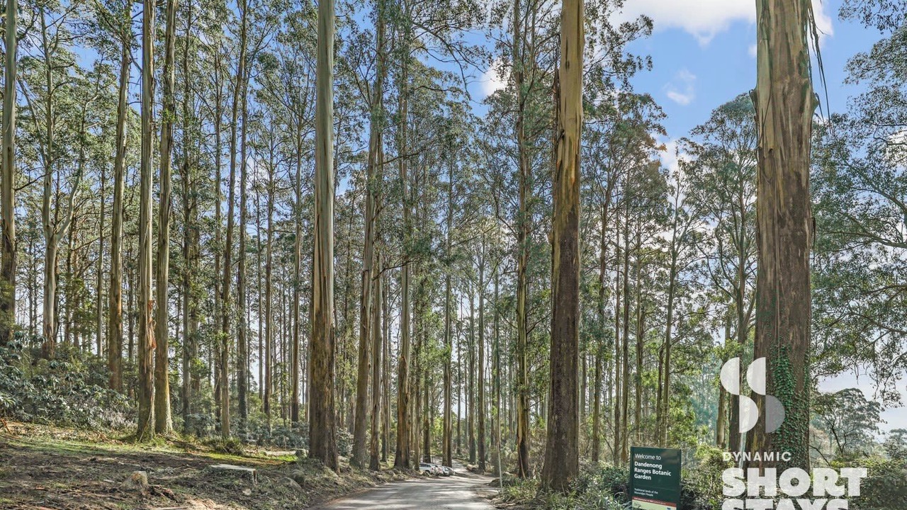 Photo of Others in Olinda