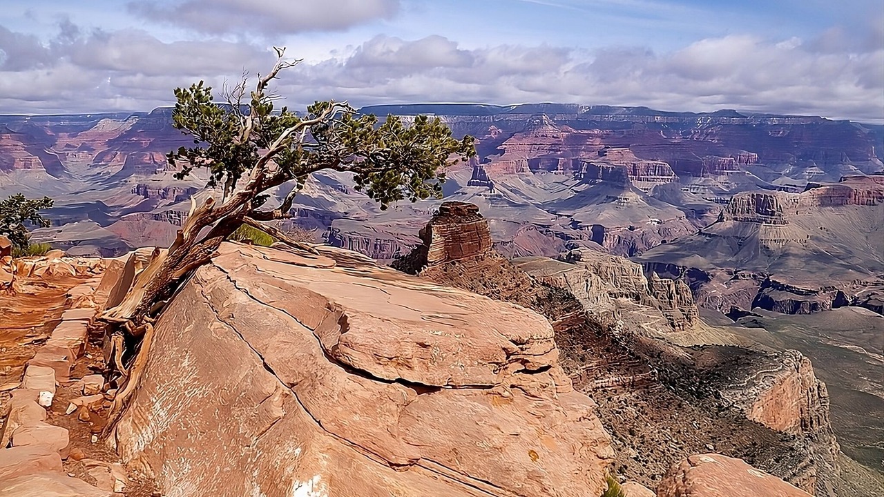 Photo of Others in Tusayan