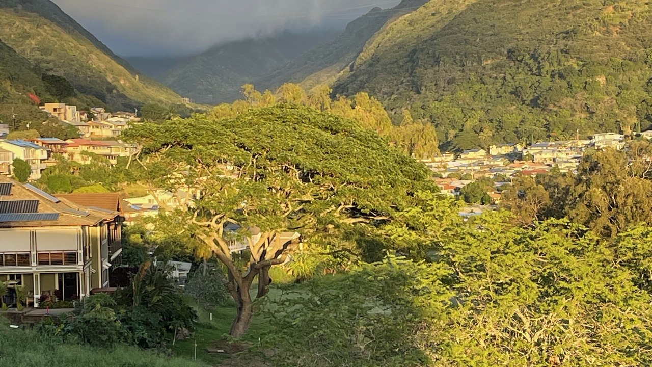 Photo of Others in Moanalua