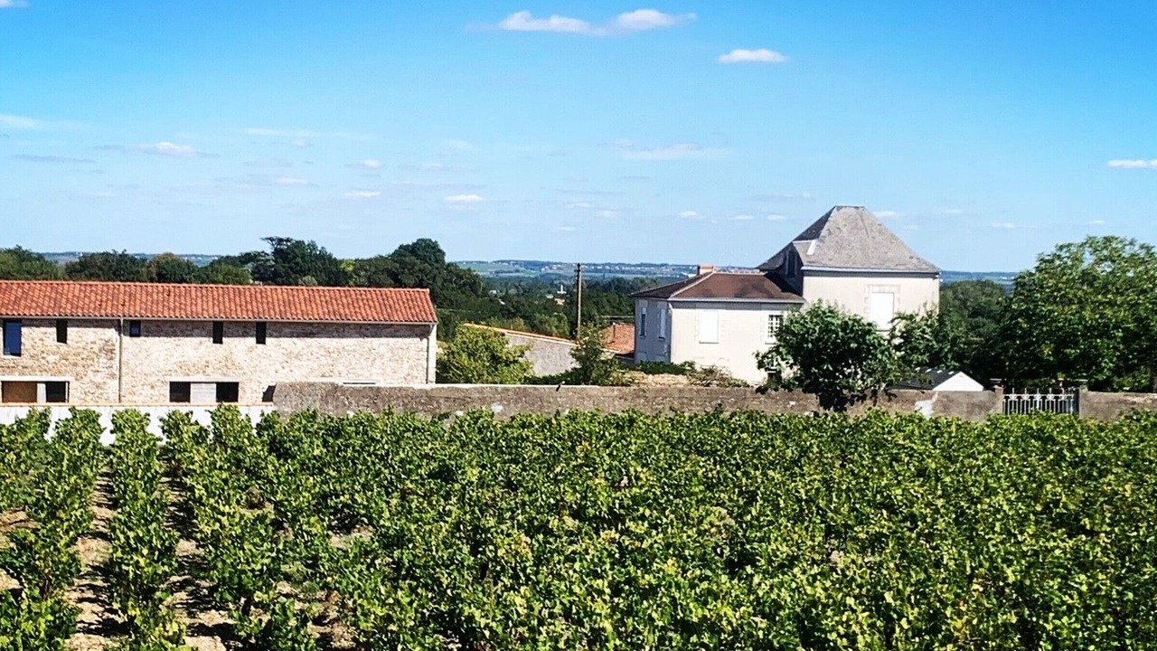 Photo of Outdoor in La Haie-Fouassiere