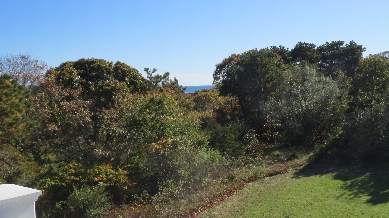 Photo of Outdoor in South Chatham