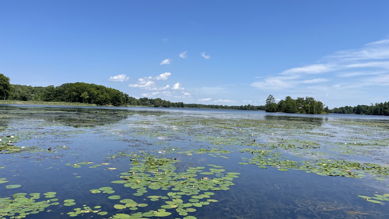 Photo of Others in Rideau Lakes