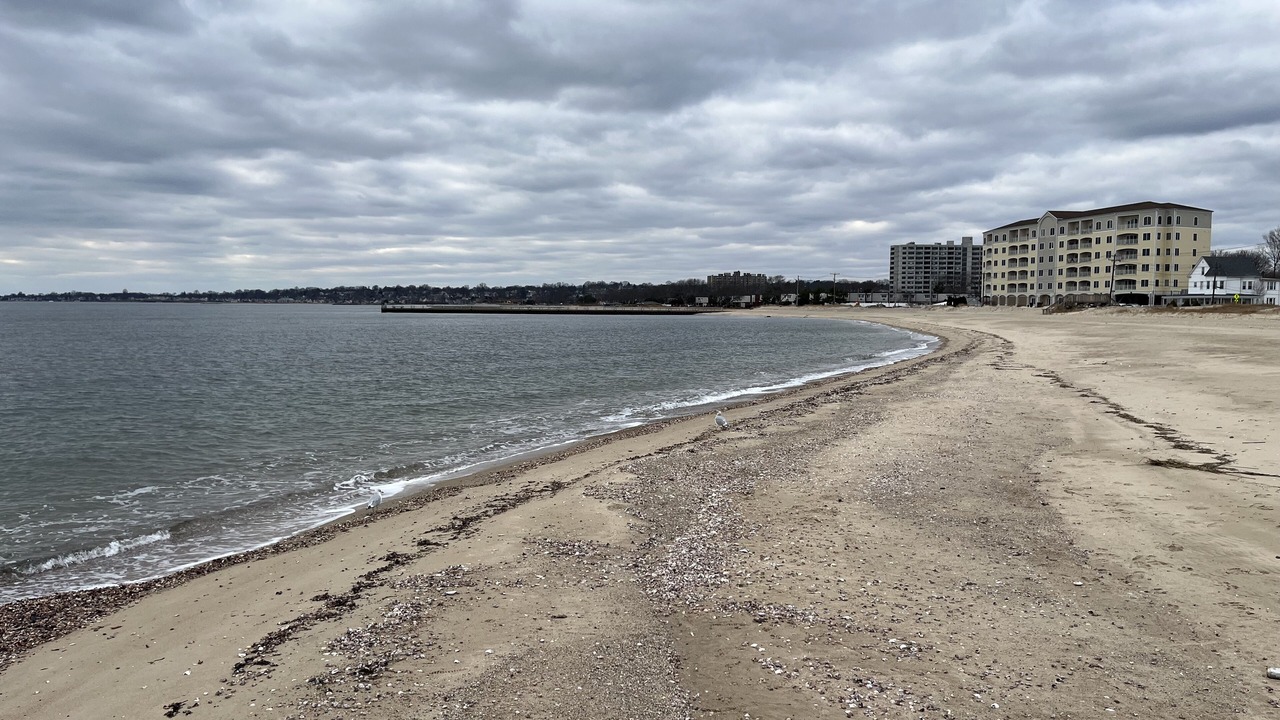 Photo of Others in West Haven