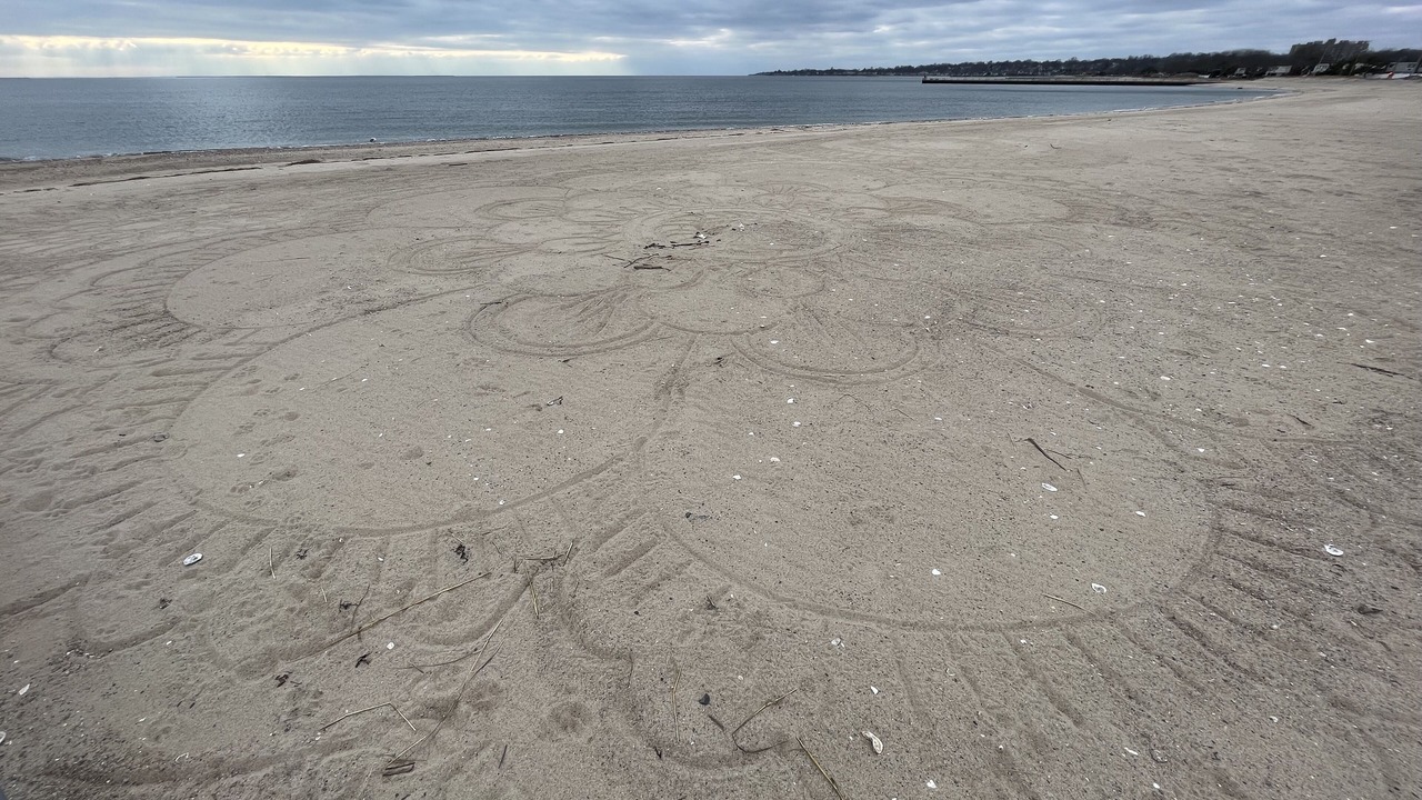 Photo of Others in West Haven