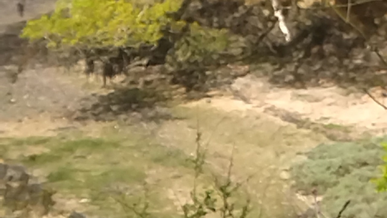 Photo of Others in Lannilis