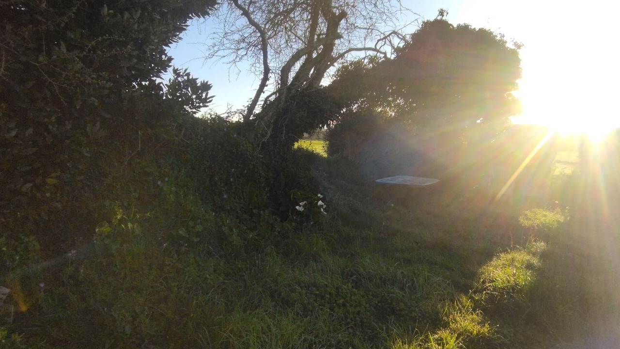 Photo of Outdoor in Lannilis
