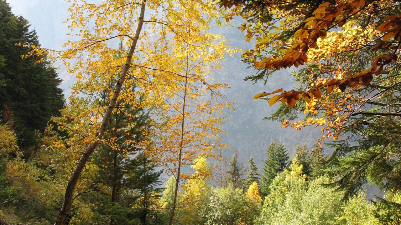 Photo of Others in Les Sciauds