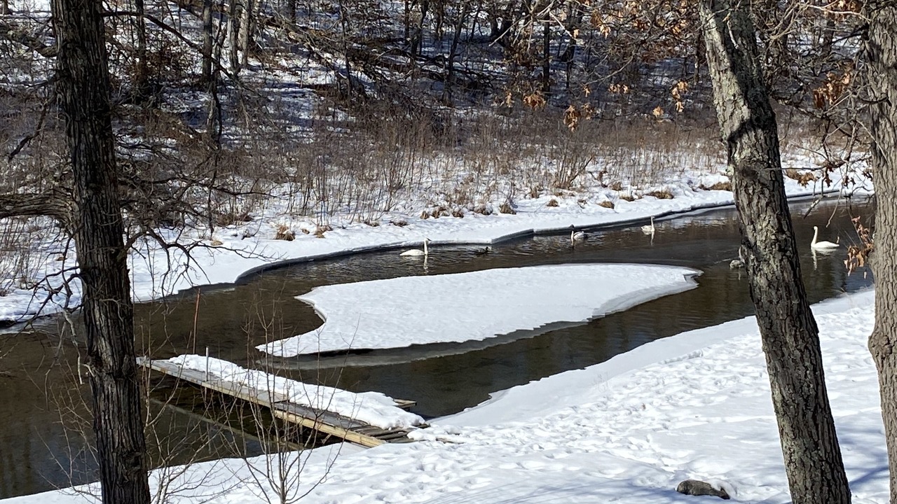 Photo of Others in Crosslake