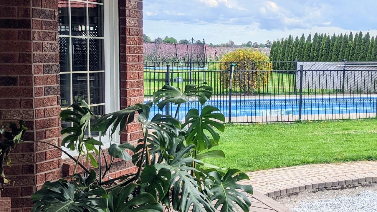 Photo of Outdoor in Virgil
