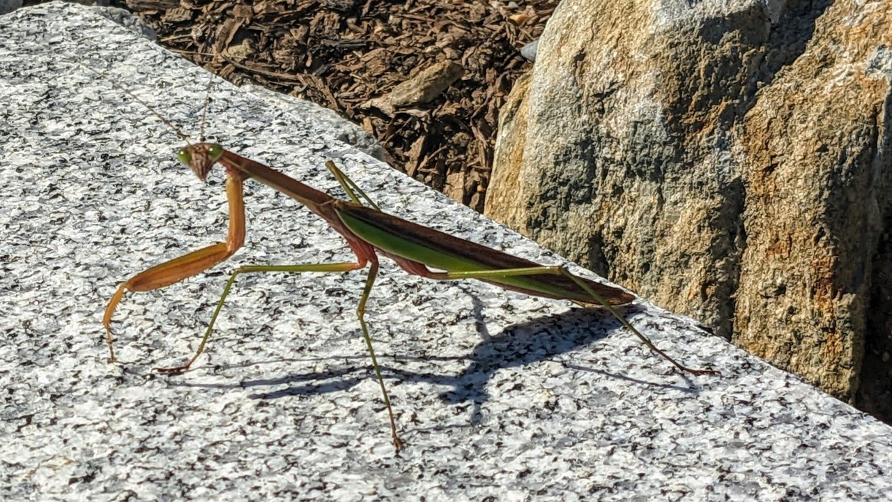 Photo of Outdoor in Graniteville