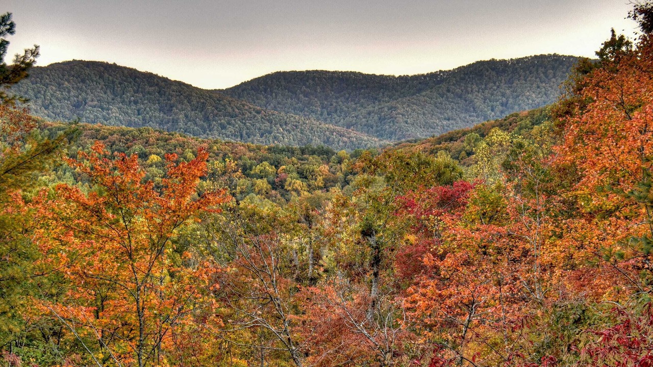 Photo of Outdoor in Epworth