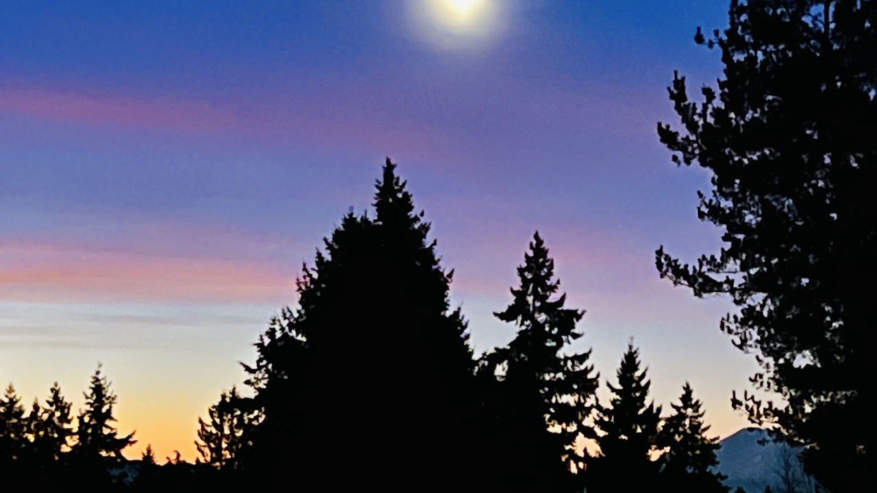 Photo of Others in Shoreline