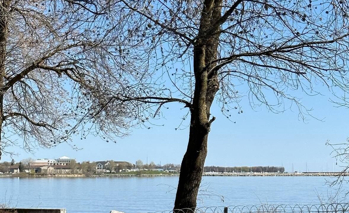 Photo of Outdoor in Gimli