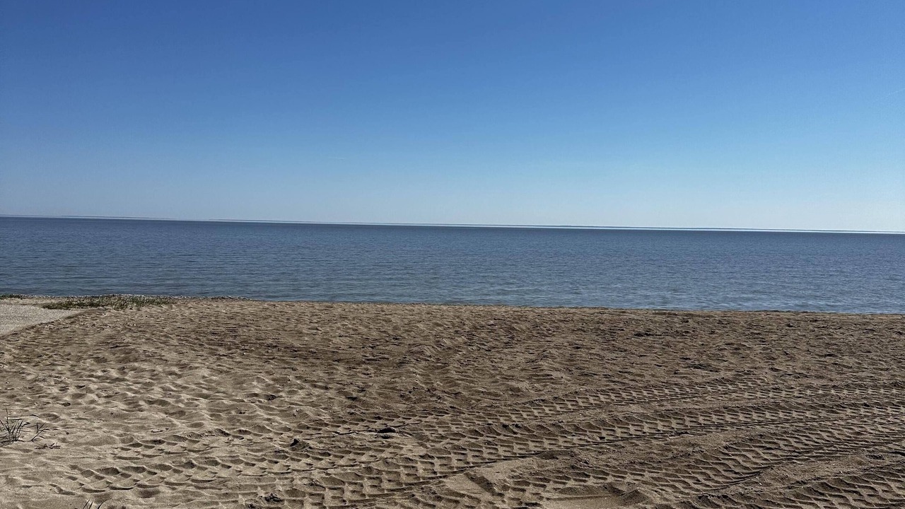 Photo of Others in Gimli