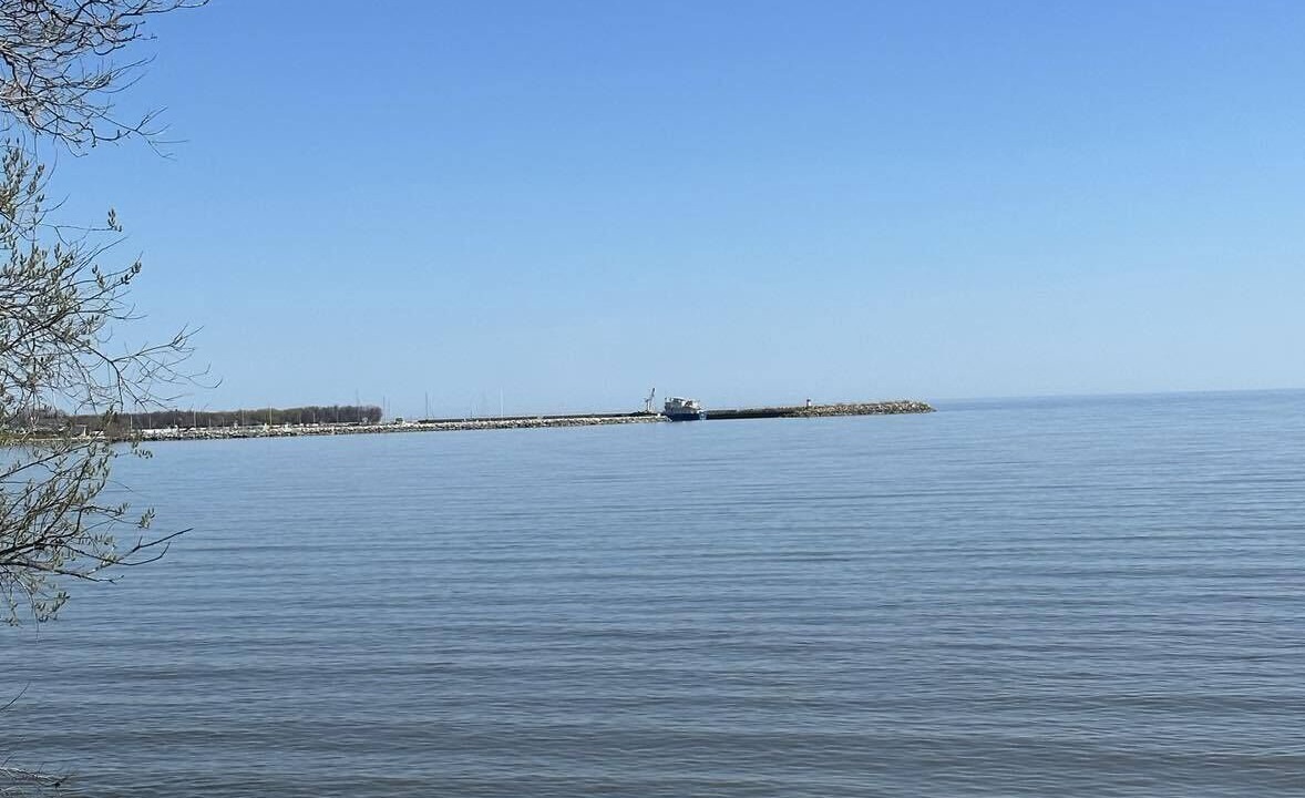 Photo of Others in Gimli