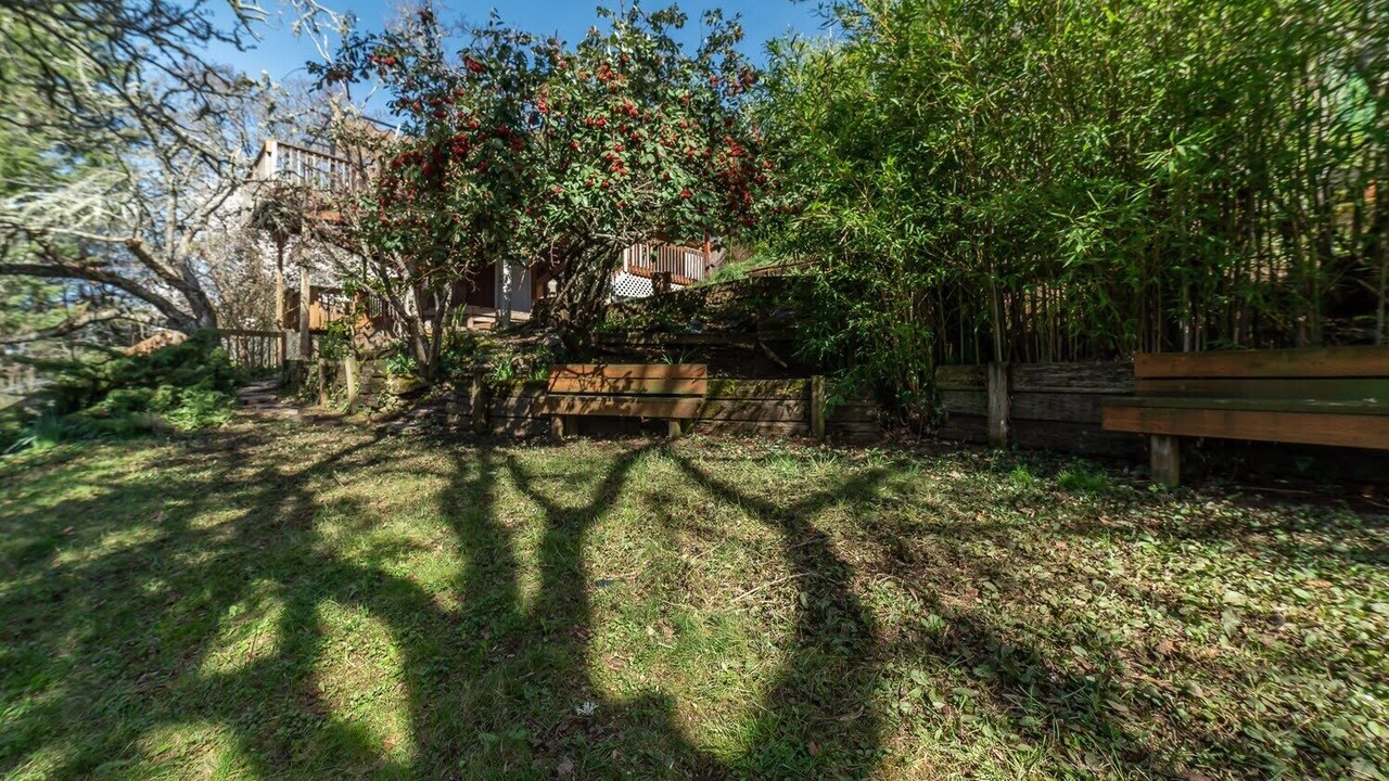 Photo of Outdoor in Southeast Eugene