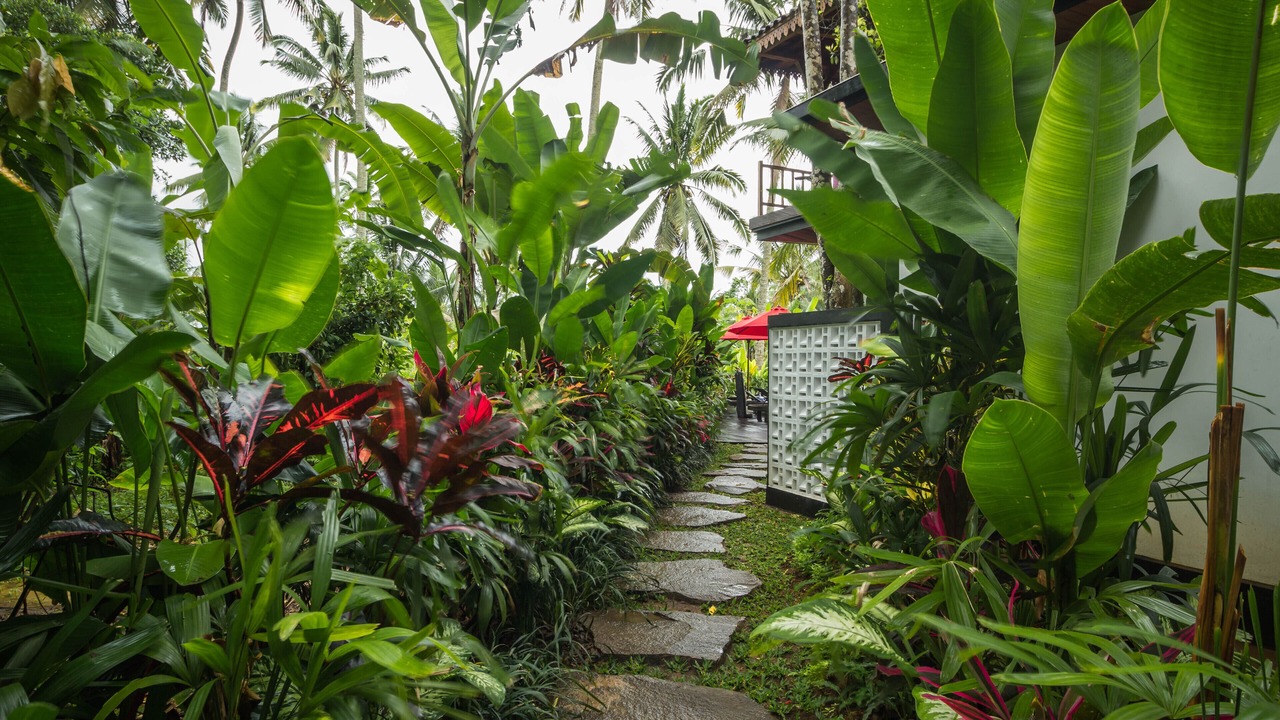 Photo of Outdoor in Keliki