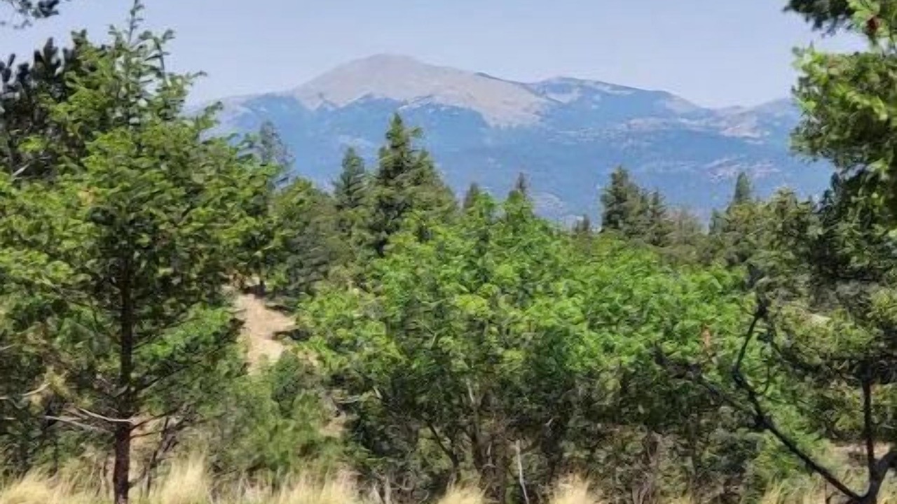 Photo of Others in Ruidoso