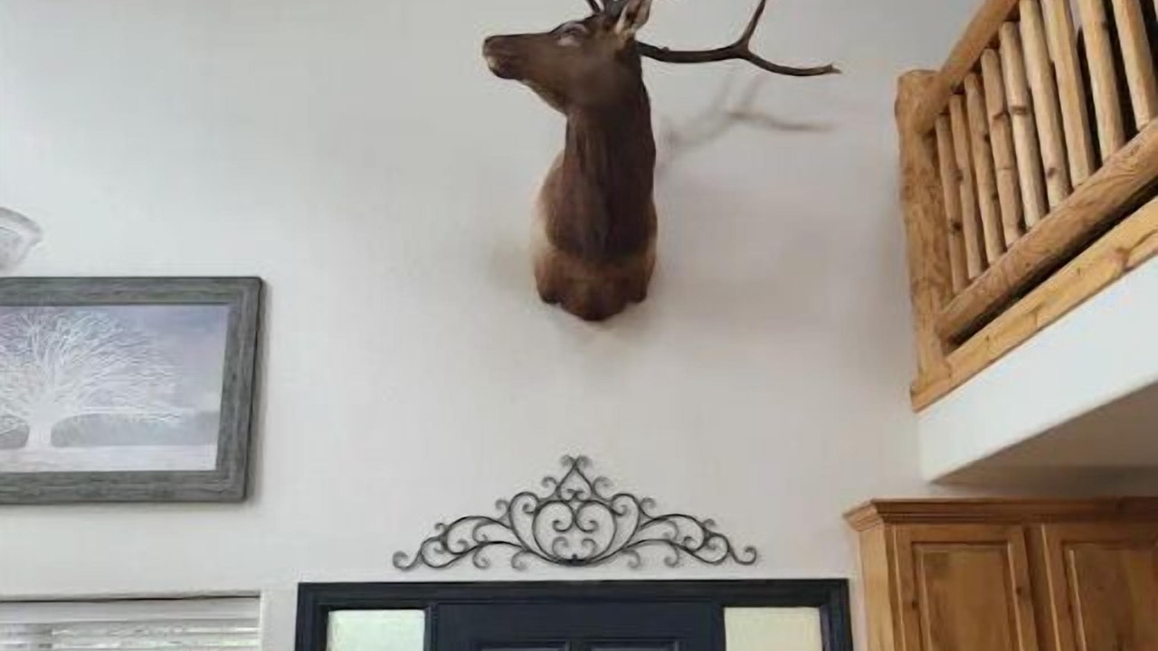 Photo of Others in Ruidoso