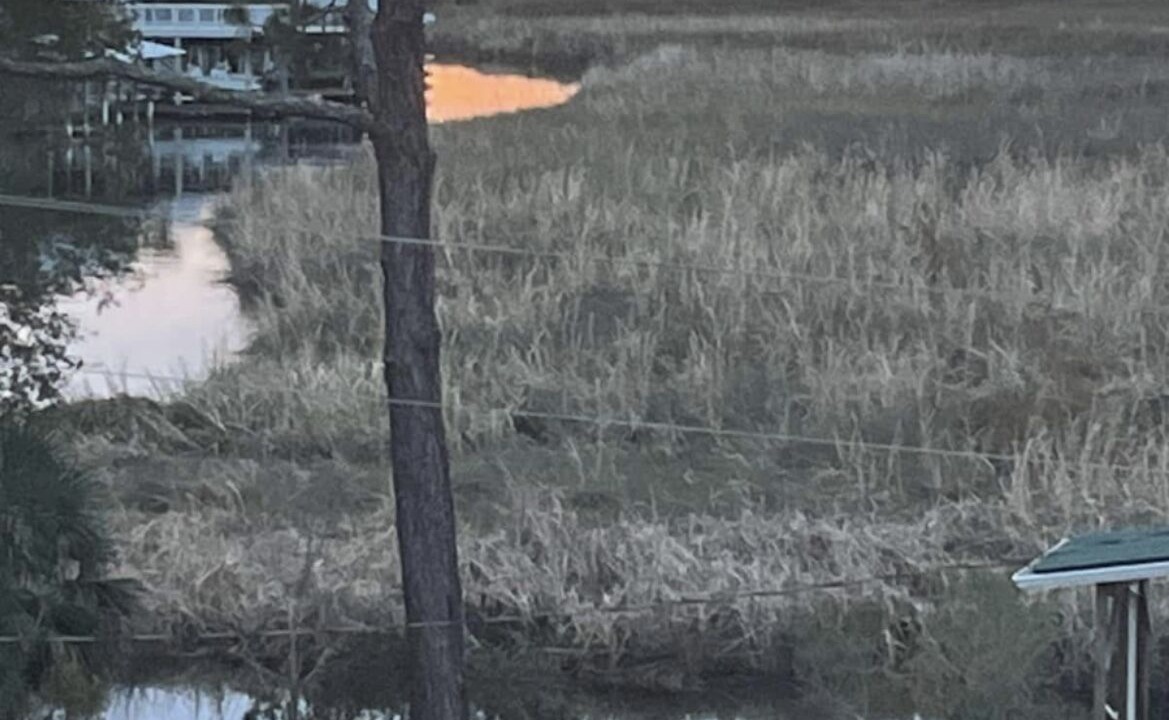 Photo of Outdoor in Suwannee