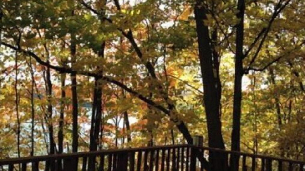 Photo of Outdoor in Windermere